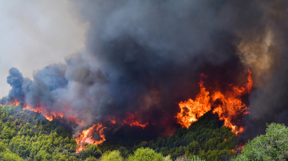 Ξέσπασε φωτιά κοντά στους Δελφούς: Σπεύδουν αεροπλάνα και ελικόπτερα