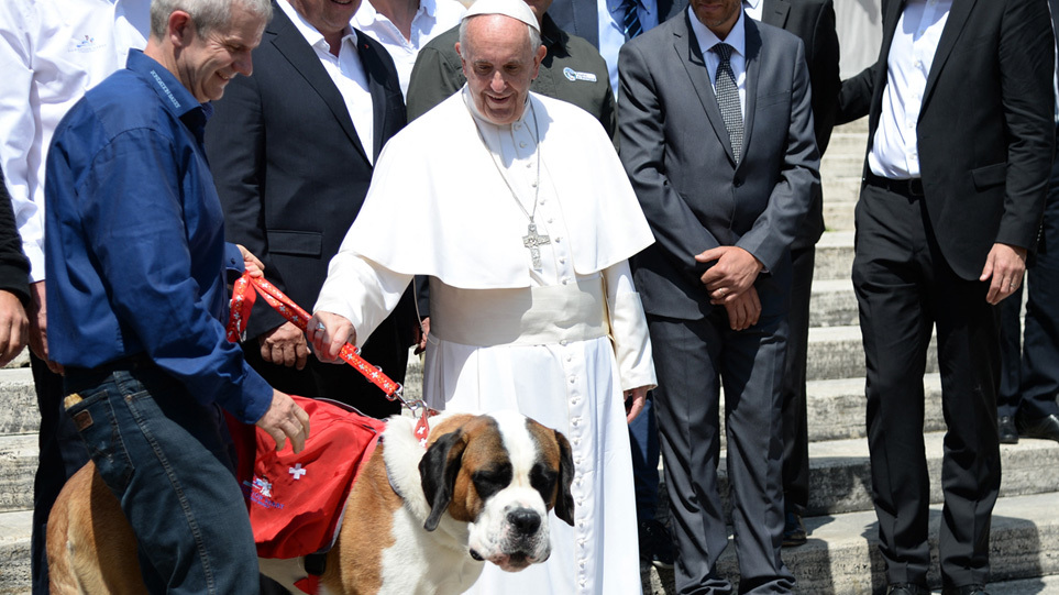 pope-francis-dog-0