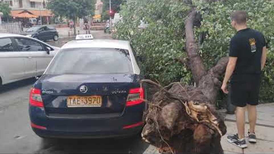 Θεσσαλονίκη: Ξεριζώθηκε δέντρο απέναντι από την Καμάρα και έπεσε πάνω σε ταξί