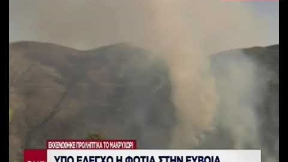 Εύβοια: Μεγάλη πυρκαγιά σε δασική έκταση - Εκκενώθηκε χωριό