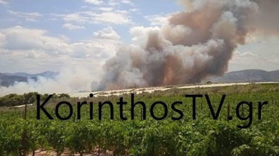 Σε εξέλιξη η πυρκαγιά σε αγροτική έκταση στην περιοχή Καλέντζι Κορινθίας