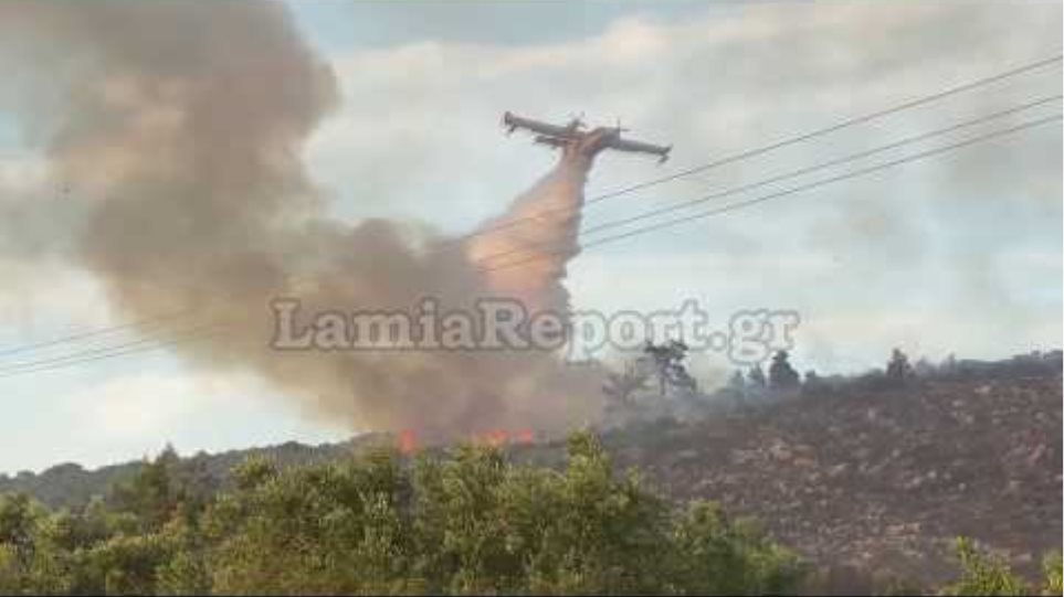 Lamiareport.gr: Καταστροφές από τις φλόγες στο Μαρτίνο