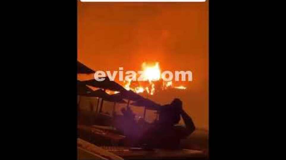 EviaZoom.gr: Πύρινος όλεθρος στη Βόρεια Εύβοια! Κάηκε και η Αγία Άννα μέχρι τη θάλασσα