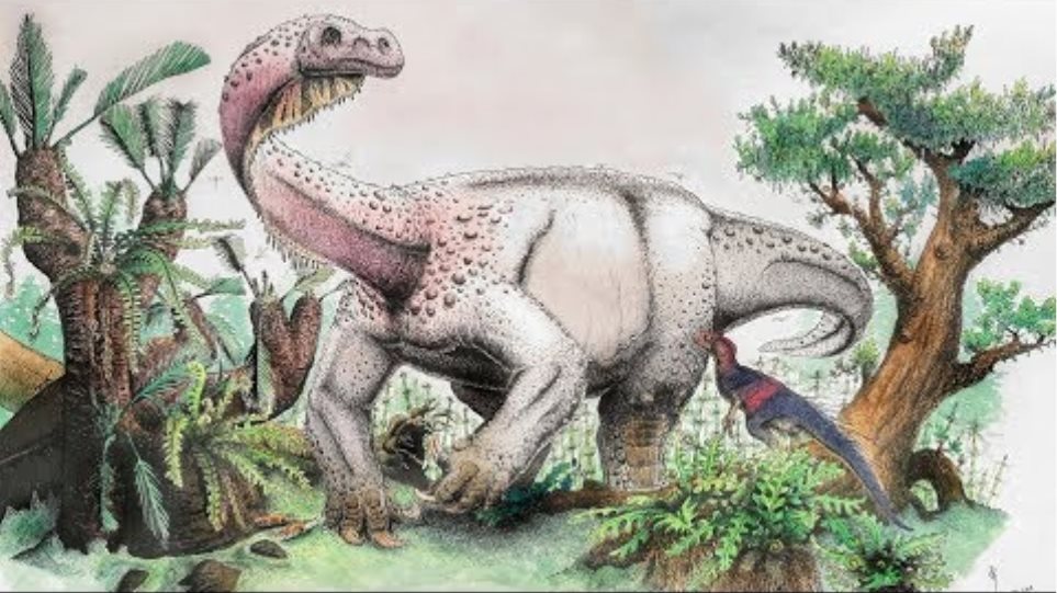 Δείτε το νέο είδος τεράστιου δεινόσαυρου που ανακάλυψαν επιστήμονες στη Νότια Αφρική!  