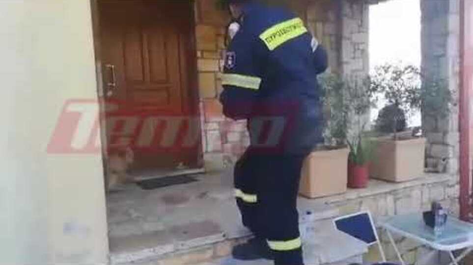 Πάτρα - Ελεκίστρα: Πυροσβέστης δίνει νερό σε σκυλάκι που κάηκε το σπίτι του