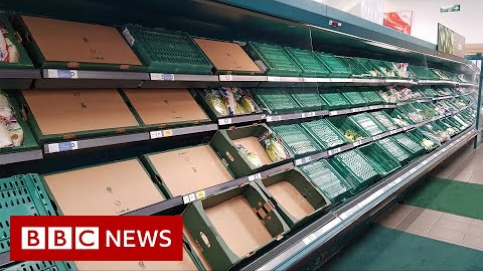 Is Brexit causing food and medicine supply problems in the UK? - BBC News