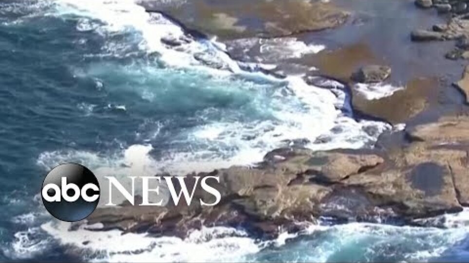 Sydney’s 1st fatal shark attack in decades