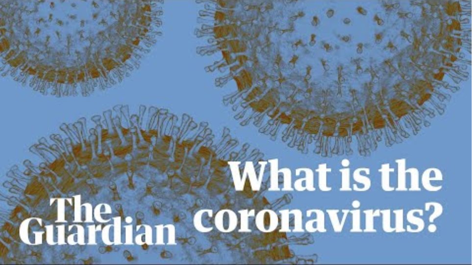 Coronavirus: what you need to know