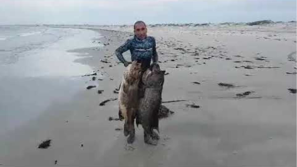 Ο Έλληνας ψαροντουφεκας που κατέρριψε το παγκόσμιο ρεκόρ τσιπούρας