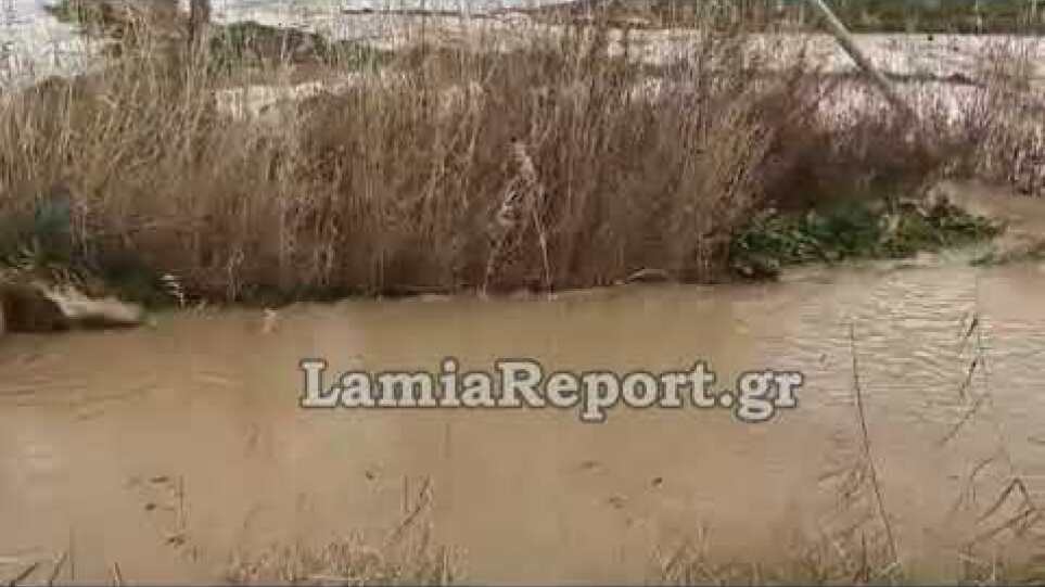 LamiaReport.gr: Εγκλωβίστηκαν στον πλημμυρισμένο κάμπο της Ανθήλης