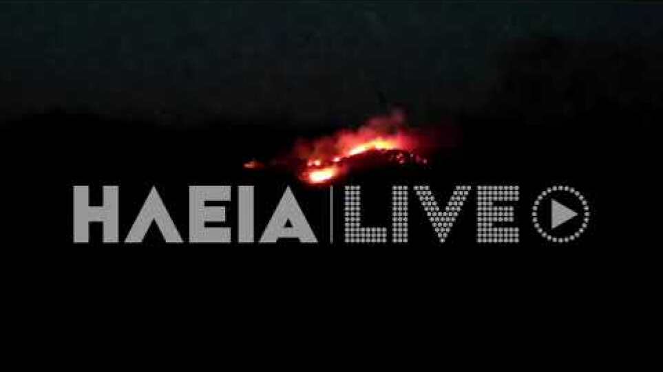 ilialive.gr - Νέα πυρκαγιά στην Κορυφή προς Αμαλιάδα