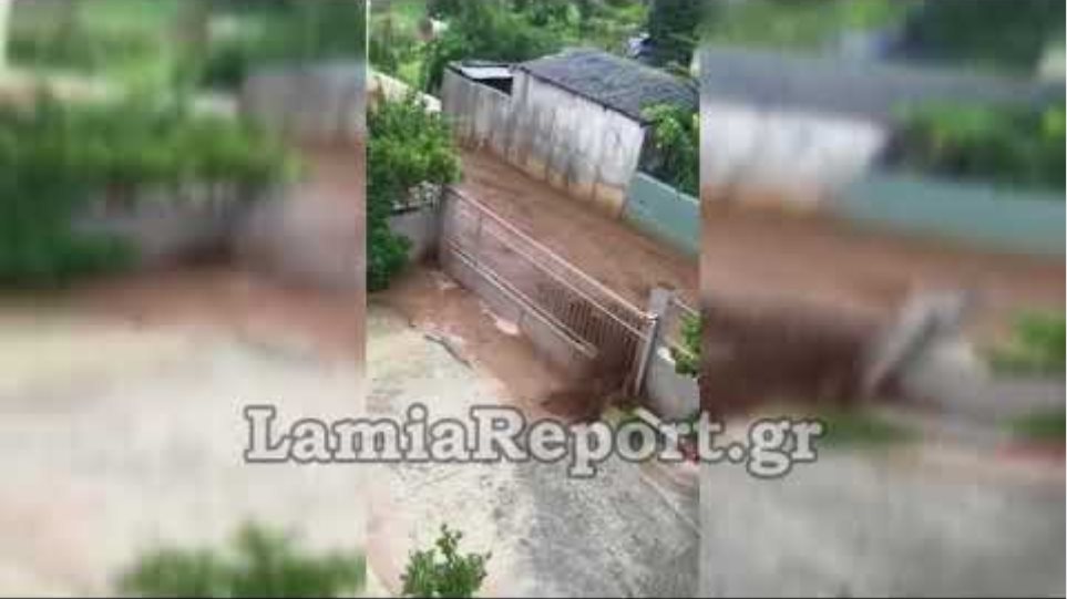 LamiaReport.gr: Παρέσυρε πόρτες και δέντρα ο χείμαρρος στη Στύρφακα