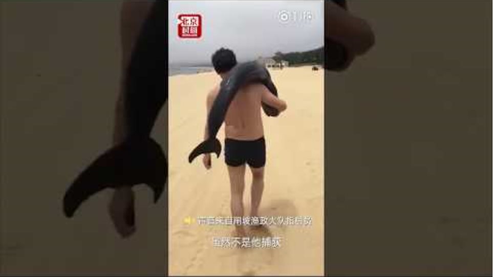 Tourist snatches live dolphin from Guangdong beach
