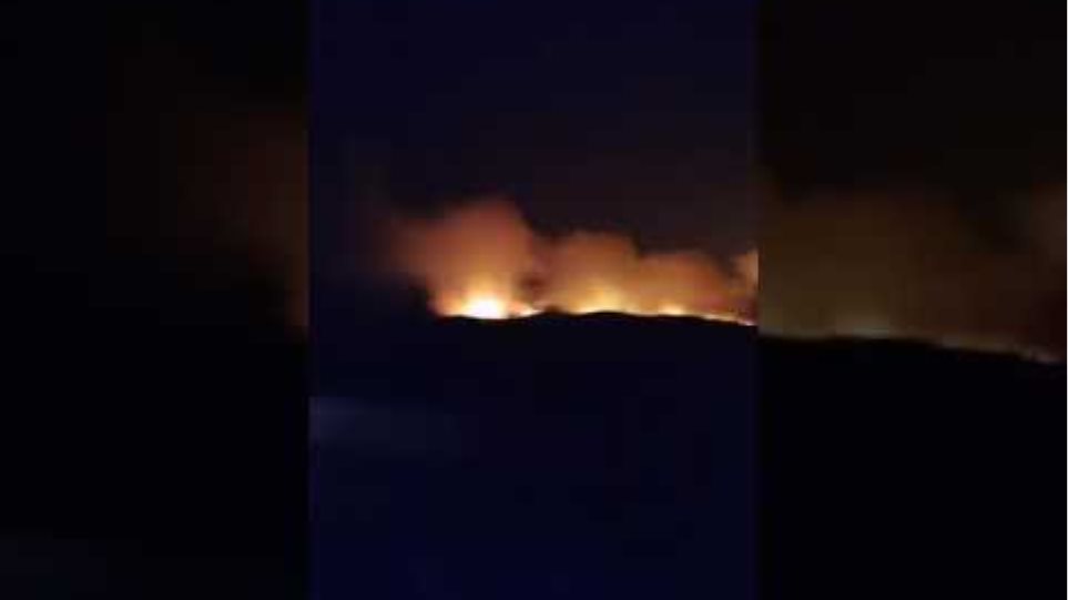 Απίστευτο βίντεο μαρτυρά το μέγεθος του μετώπου της πυρκαγιάς στη Νίψα.