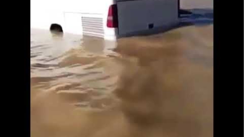 Saudi Arabia flooding in the desert never before seen