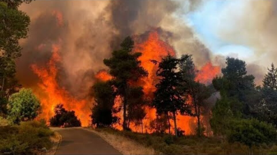 Huge fires with giant fires!! Eat trees in the forests of Spain!