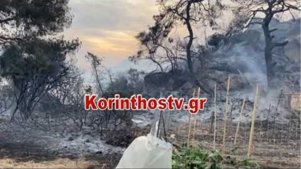 Εικόνες καταστροφής από τη φωτιά στο Σχίνο Κορινθίας