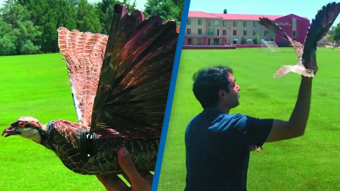 Εφευρέσεις από το μέλλον: Από τα ρομπότ μαχητές μέχρι τα βίντεο κλιπ με τα όνειρα μας