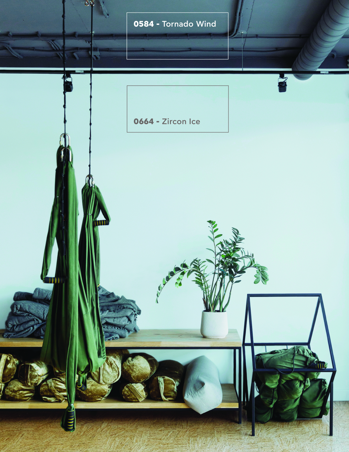 Ο μονόκερος που δίνει χρώμα στο ευ ζην