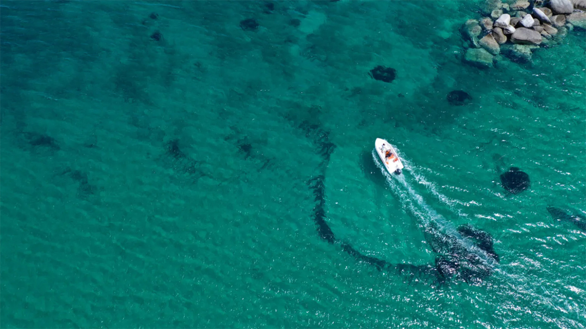 Δέκα νησιά στα οποία δεν χρειάζεστε αυτοκίνητο
