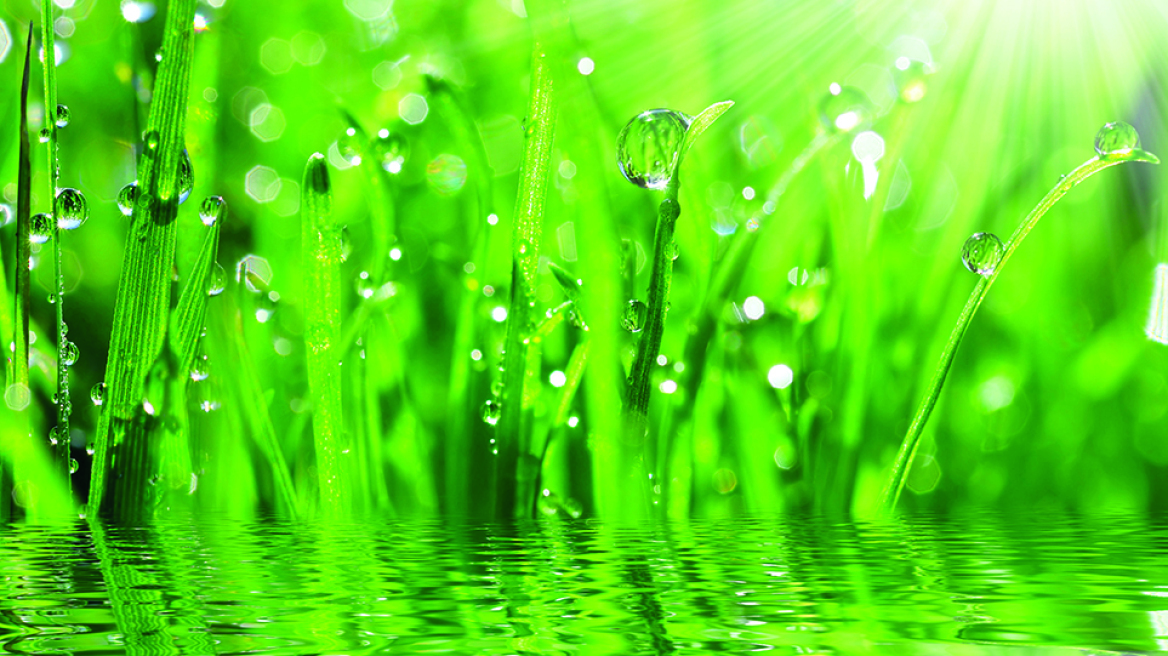 ΜΕΓΑ ACT GREEN: Ελληνική Καινοτομία για ένα βιώσιμο αύριο