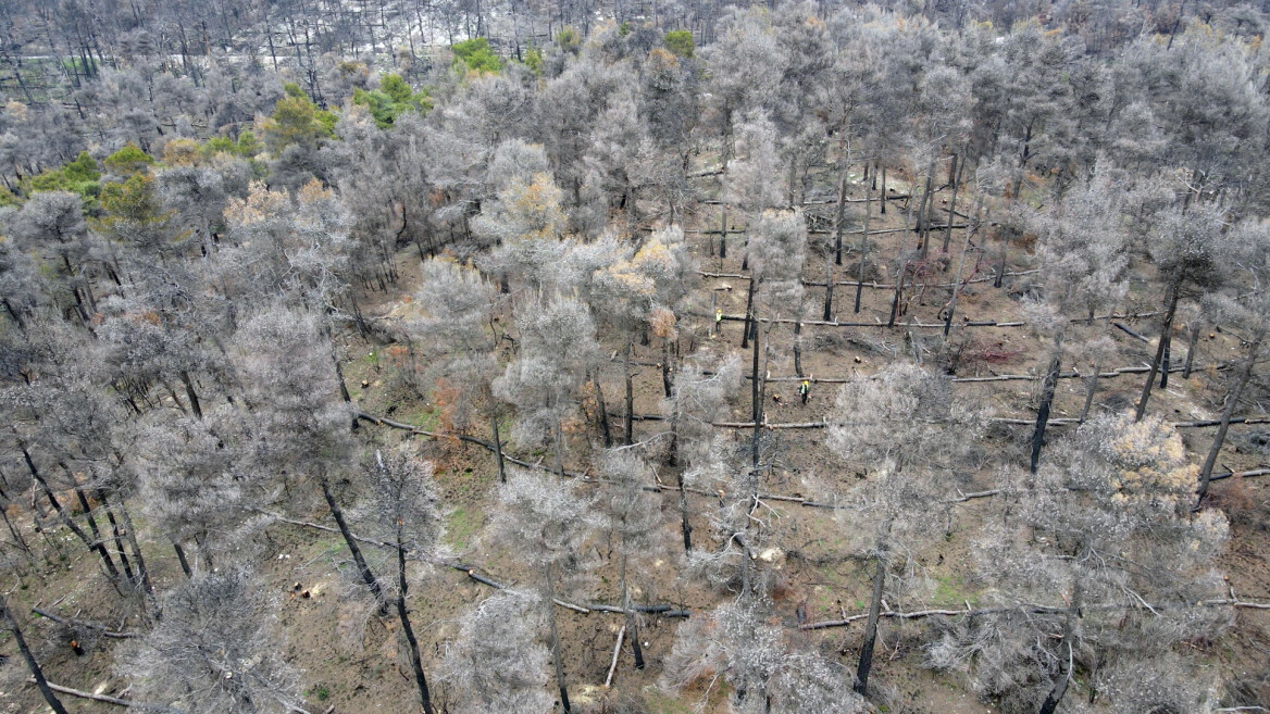 Το όραμα που δείχνει το δρόμο για τη βιώσιμη ανάπτυξη