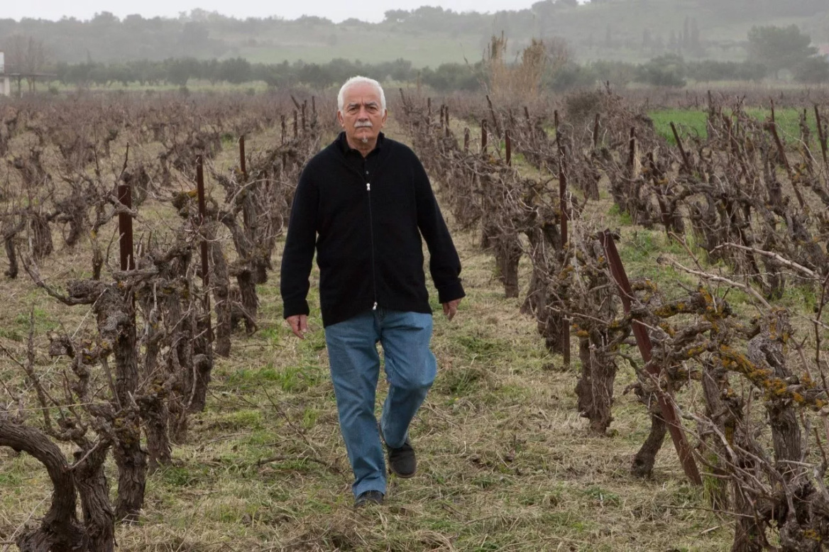 Τι συνέβη όταν 1.250 φιάλες Μαυροδάφνης παλαίωσαν για 3 χρόνια στον βυθό της Κεφαλονιάς