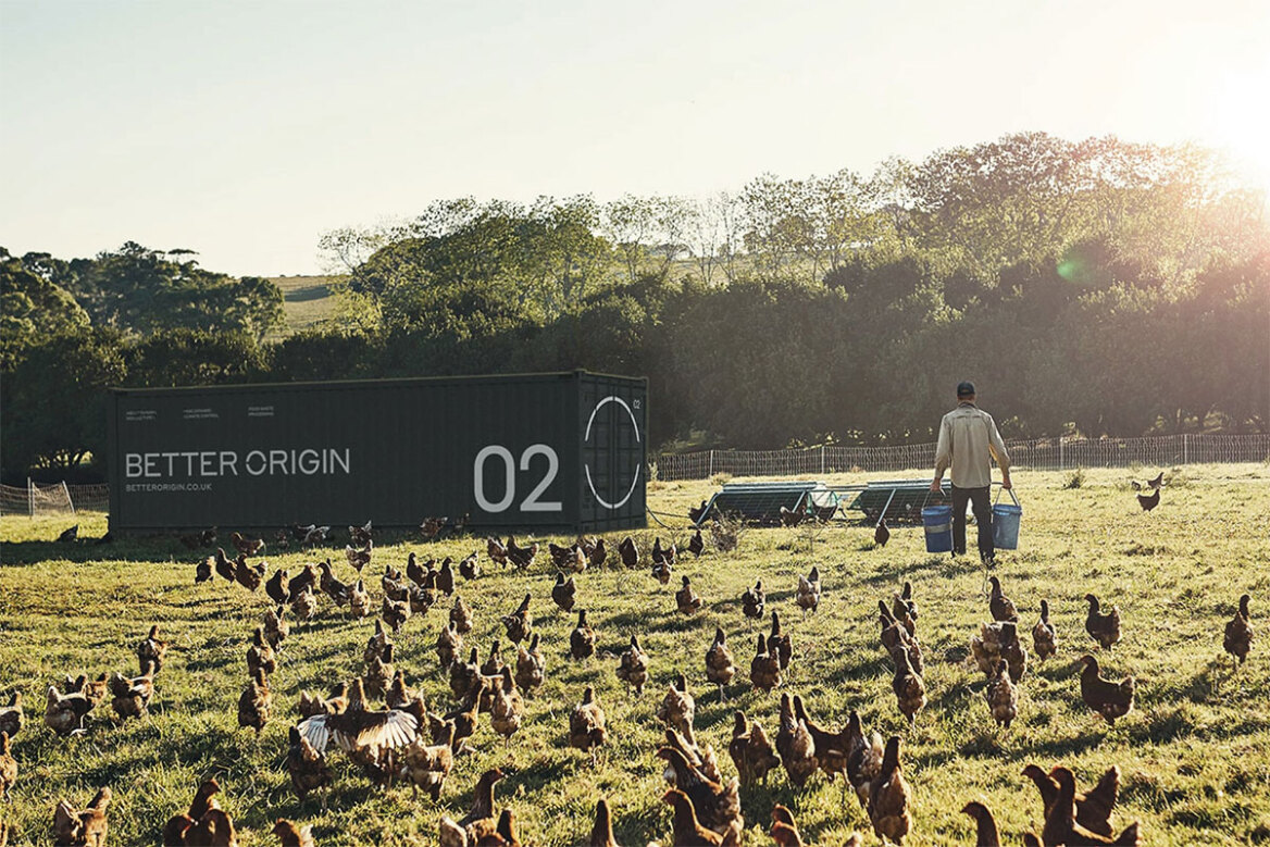 Ποια είναι τα 4 έντομα που πήραν πράσινο φως ως τα «νέα τρόφιμα»