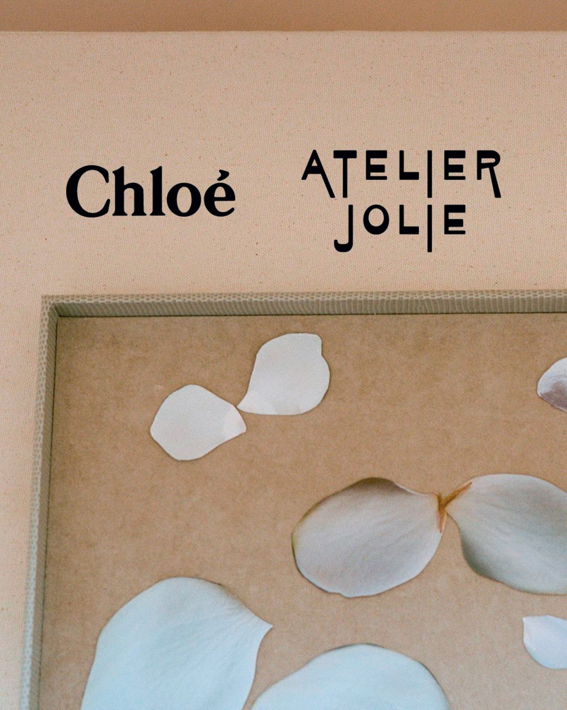 H Αντζελίνα Τζολί προετοιμάζεται για τον ρόλο της ζωής της - Θα ενσαρκώσει τη Μαρία Κάλλας