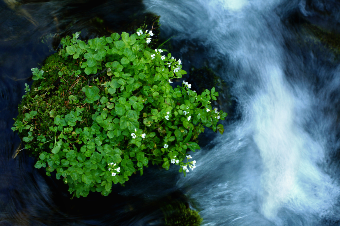 Τα μυστικά της σωστής ενυδάτωσης 