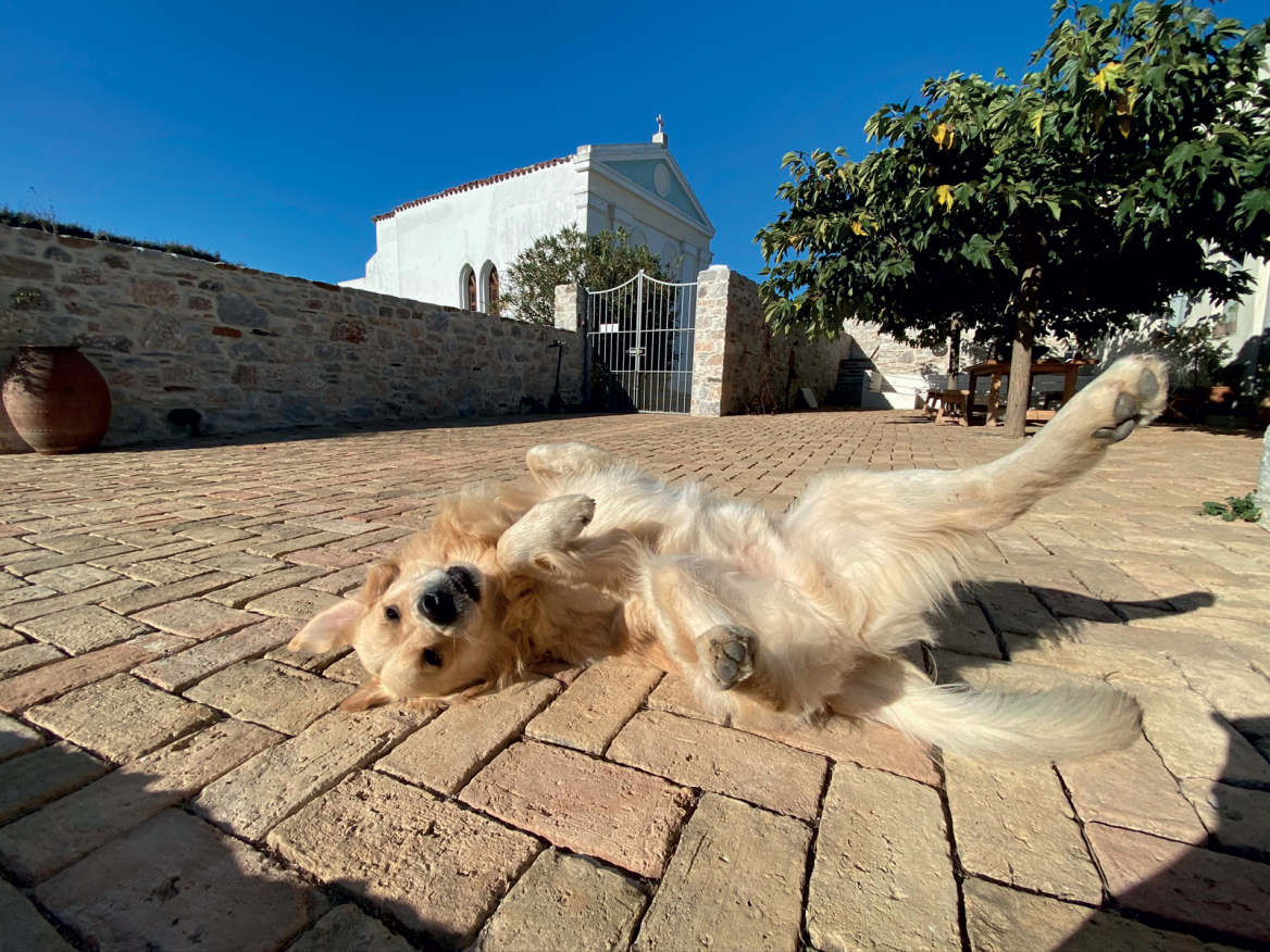 Μάγια Τσόκλη: Μέρες και νύχτες της στην Τήνο