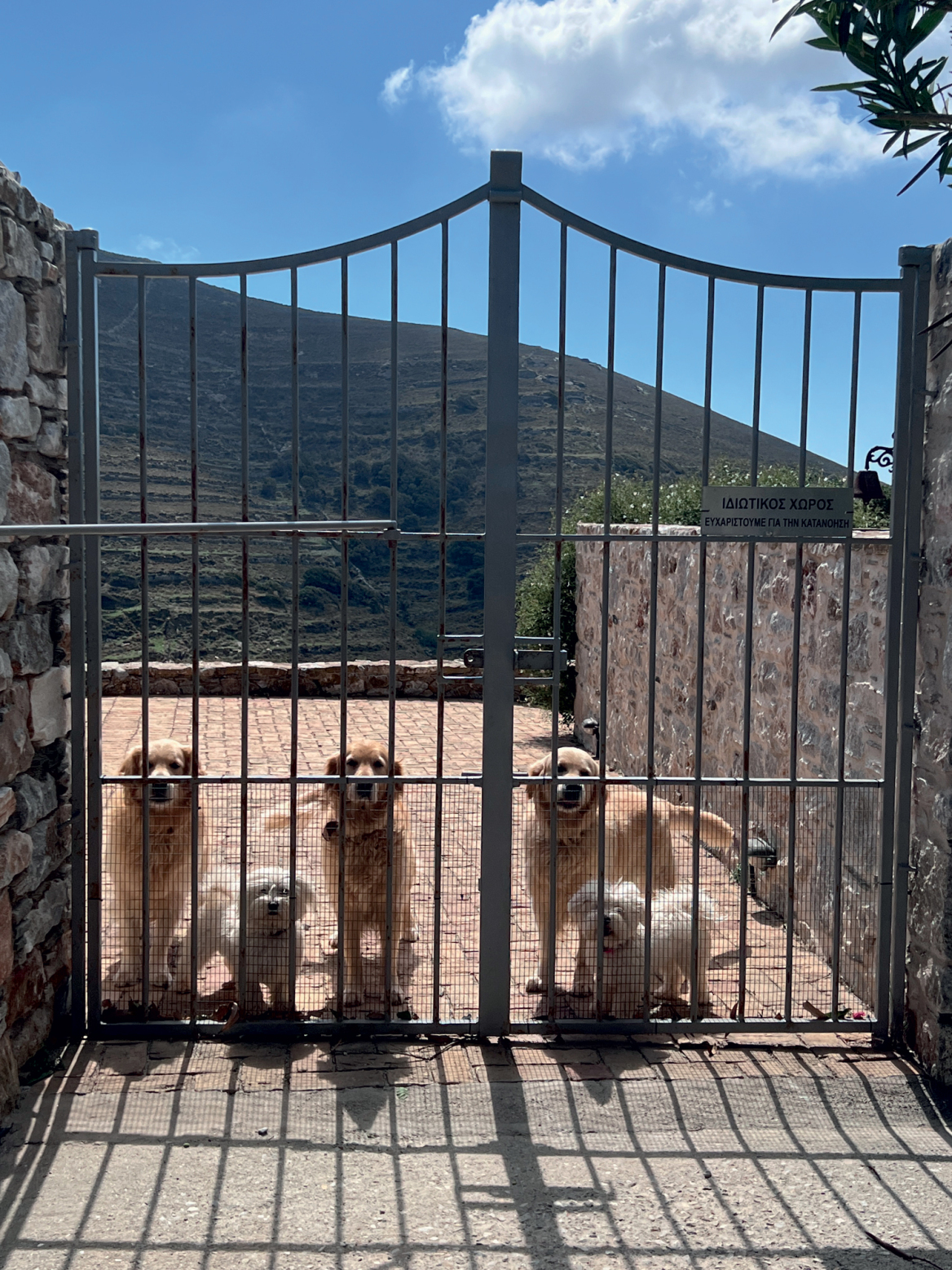 Μάγια Τσόκλη: Μέρες και νύχτες της στην Τήνο