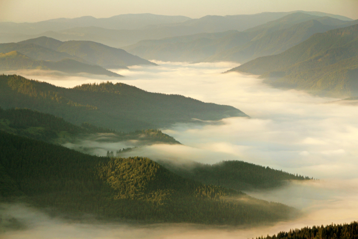 Τα καλύτερα νερά της Ευρώπης αναβλύζουν από τα Καρπάθια Όρη