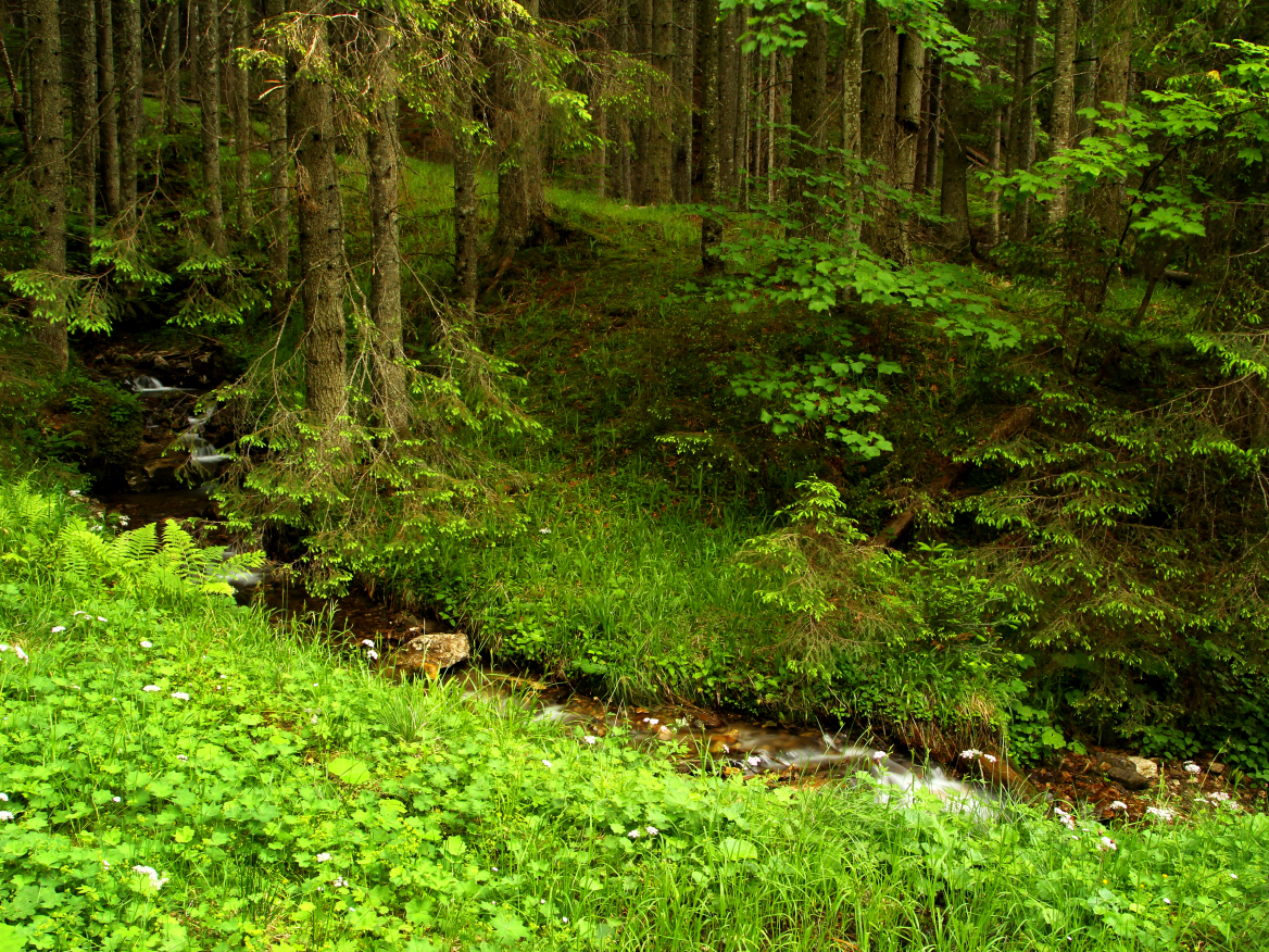 Το αγνό νερό περνά από την καρδιά της μητέρας Φύσης