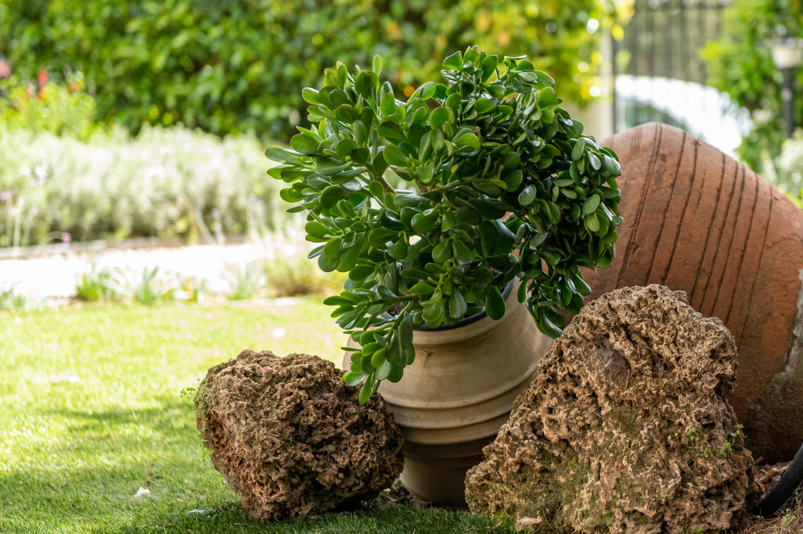 Μια υπέροχη, «πράσινη» ιστορία καινοτομίας και εξέλιξης