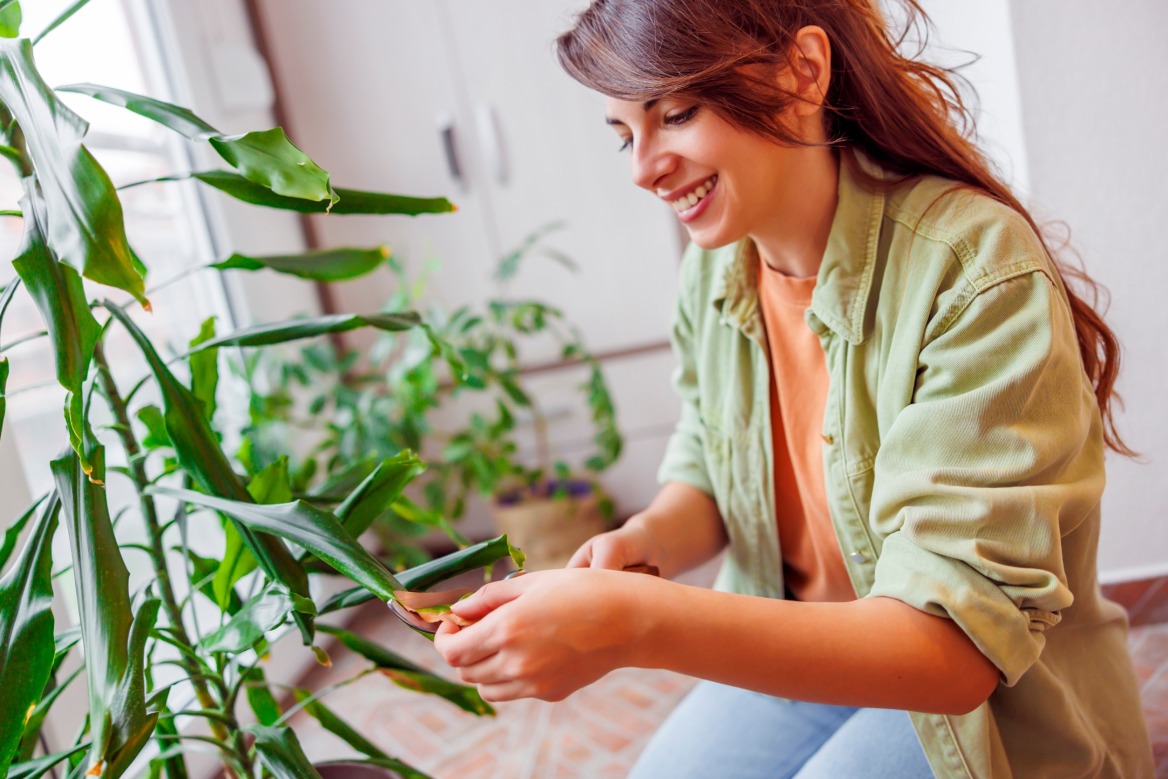 Τι είναι το plant parenting και γιατί είναι το νέο trend