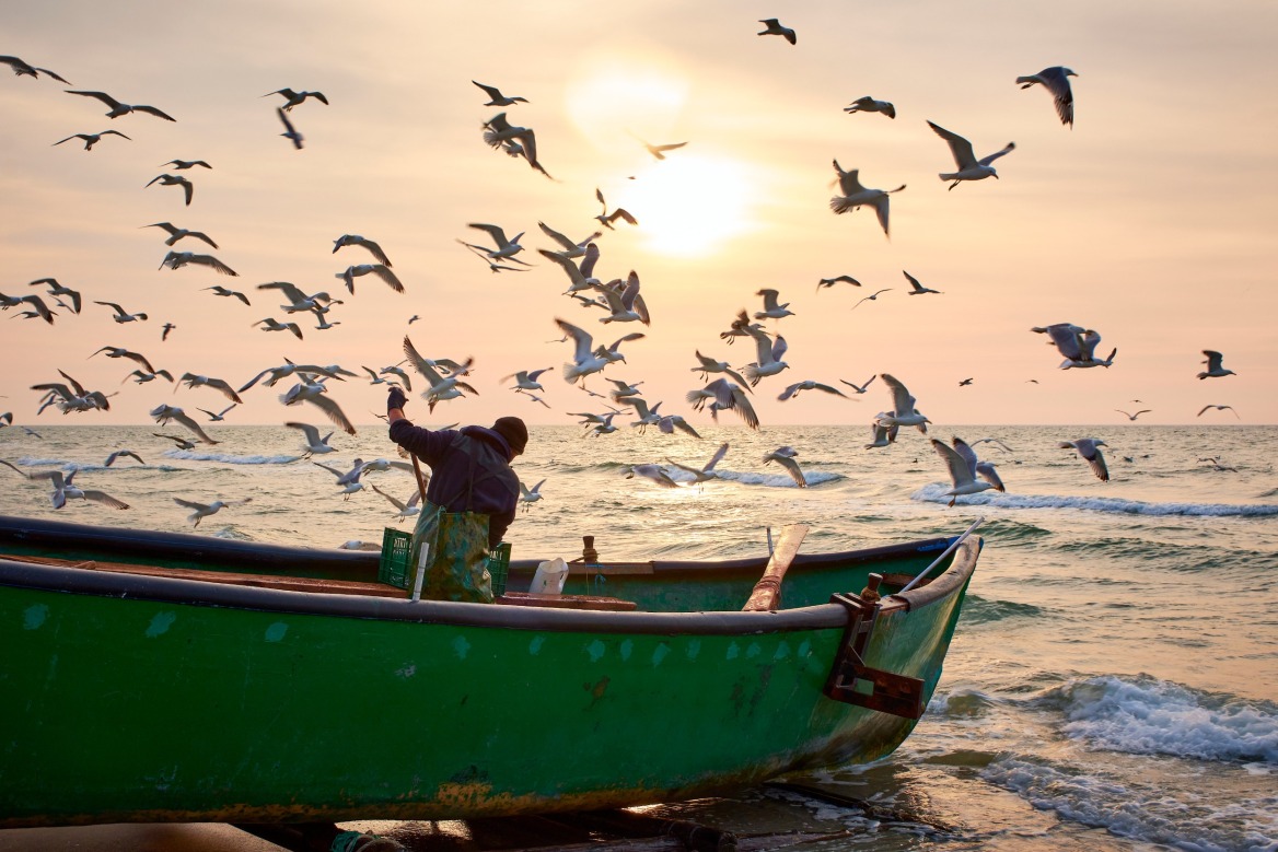Η κλιματική κρίση αλλάζει και τις γαστρονομικές μας συνήθειες