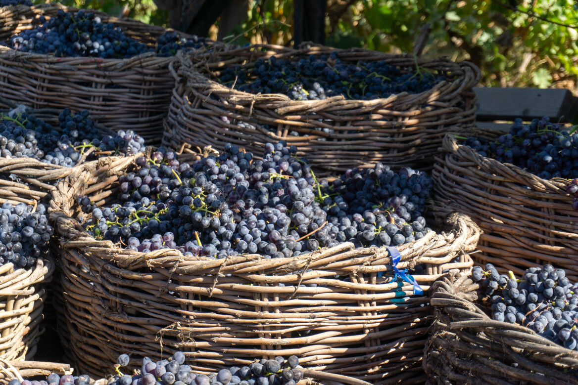 Ο χάρτης του κρασιού επανασχεδιάζεται
