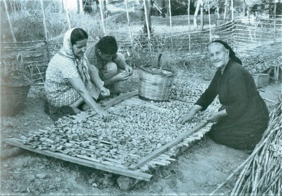 «Και έφαγον πάντες και ηυφράνθησαν»: Ο Γιώργος Πίττας αποκωδικοποιεί τον Παπαδιαμάντη μέσω της τροφής