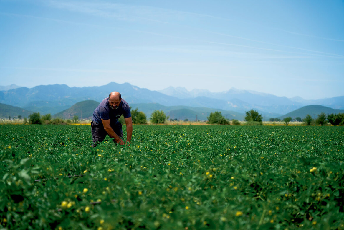Θεσσαλία, ο εθνικός μας κάμπος που προσφέρει τροφή σε όλη τη χώρα
