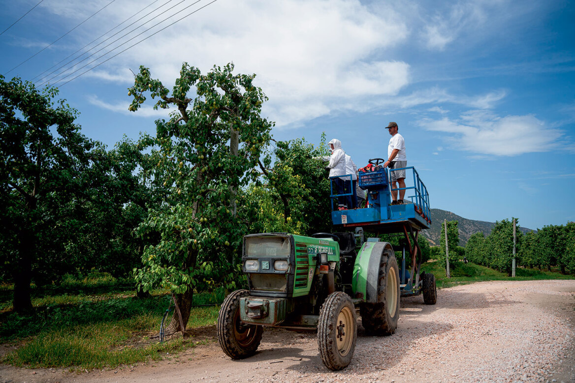 Θεσσαλία, ο εθνικός μας κάμπος που προσφέρει τροφή σε όλη τη χώρα