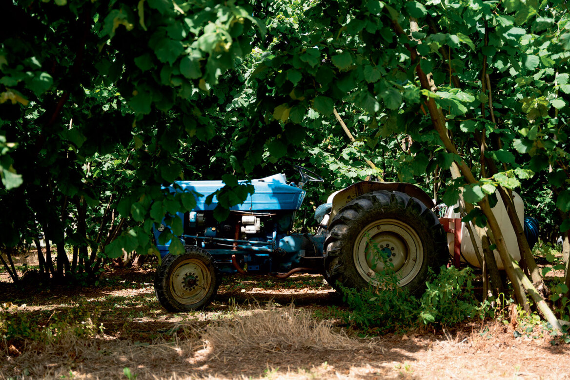 Θεσσαλία, ο εθνικός μας κάμπος που προσφέρει τροφή σε όλη τη χώρα