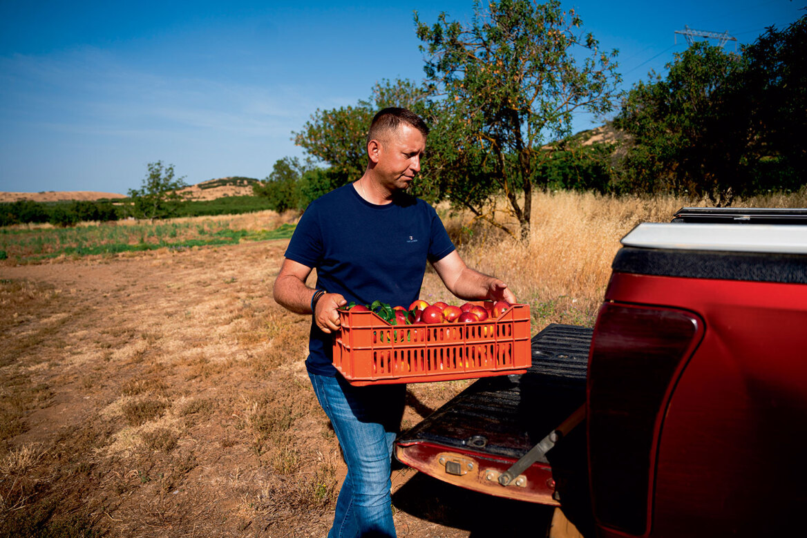 Θεσσαλία, ο εθνικός μας κάμπος που προσφέρει τροφή σε όλη τη χώρα