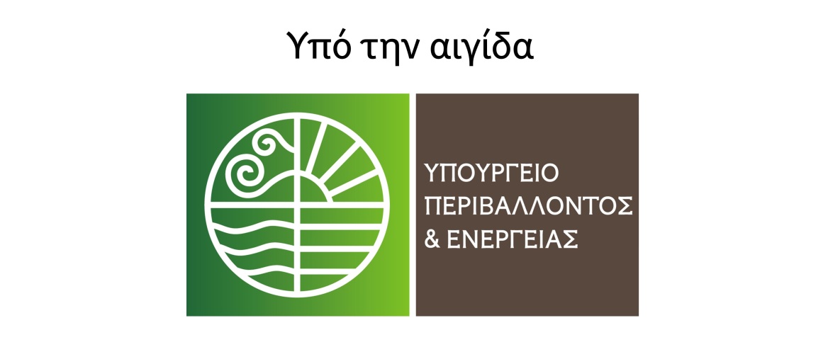 Υποθαλάσσια λιβάδια της Ποσειδωνίας: η ανεκτίμητη χλωρίδα που χρειάζεται την αγάπη μας