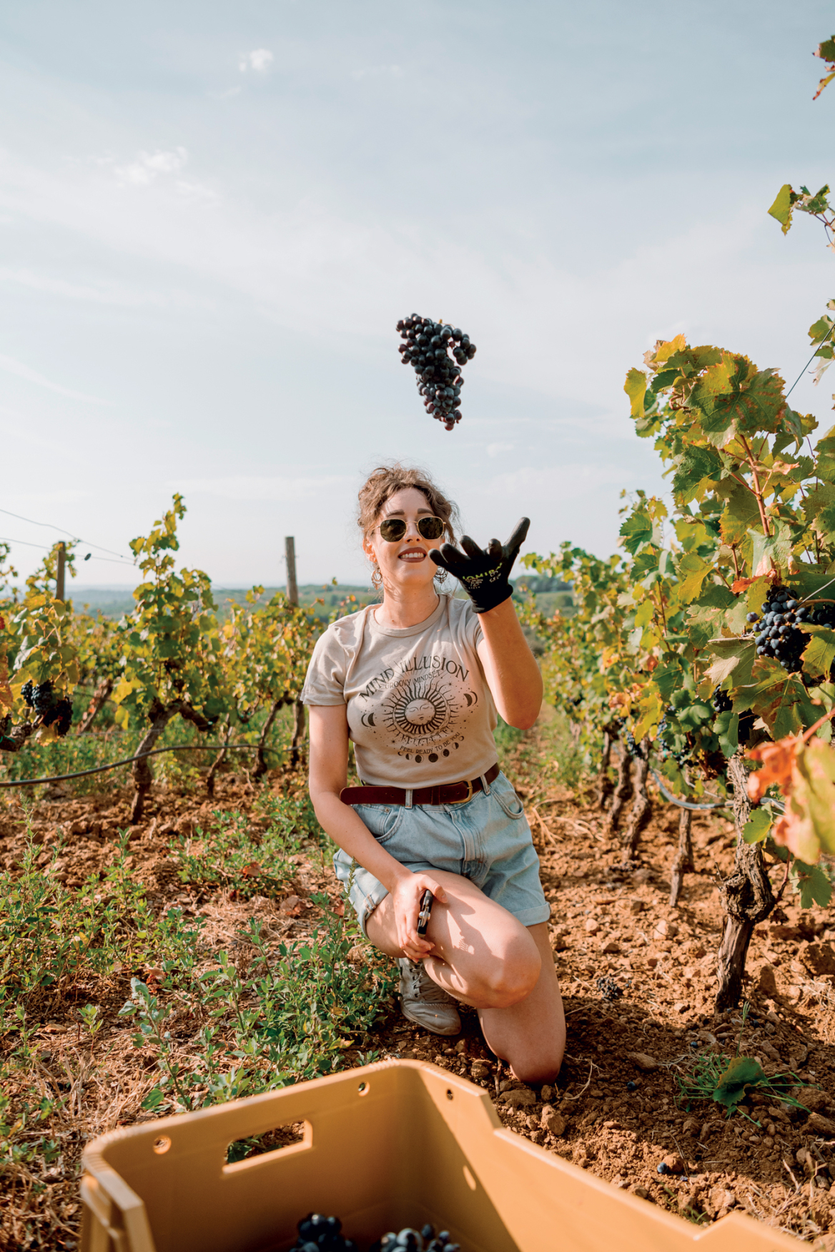 Εξερευνήσεις στις χώρες του κρασιού