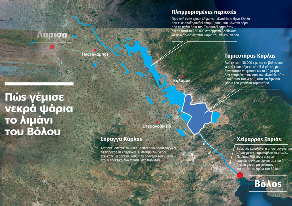 Παγασητικός: Γιατί πεθαίνουν τα ψάρια, η αποστράγγιση που δημιούργησε το τεράστιο πρόβλημα