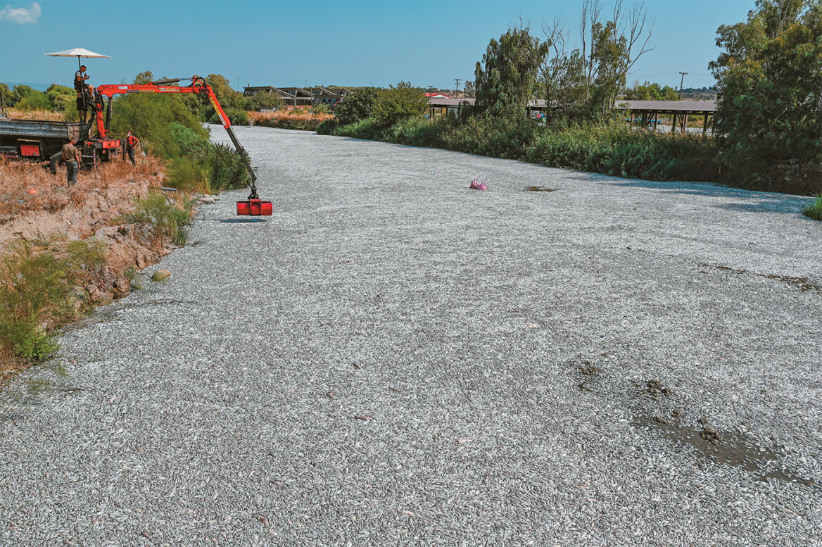 Παγασητικός: Γιατί πεθαίνουν τα ψάρια, η αποστράγγιση που δημιούργησε το τεράστιο πρόβλημα