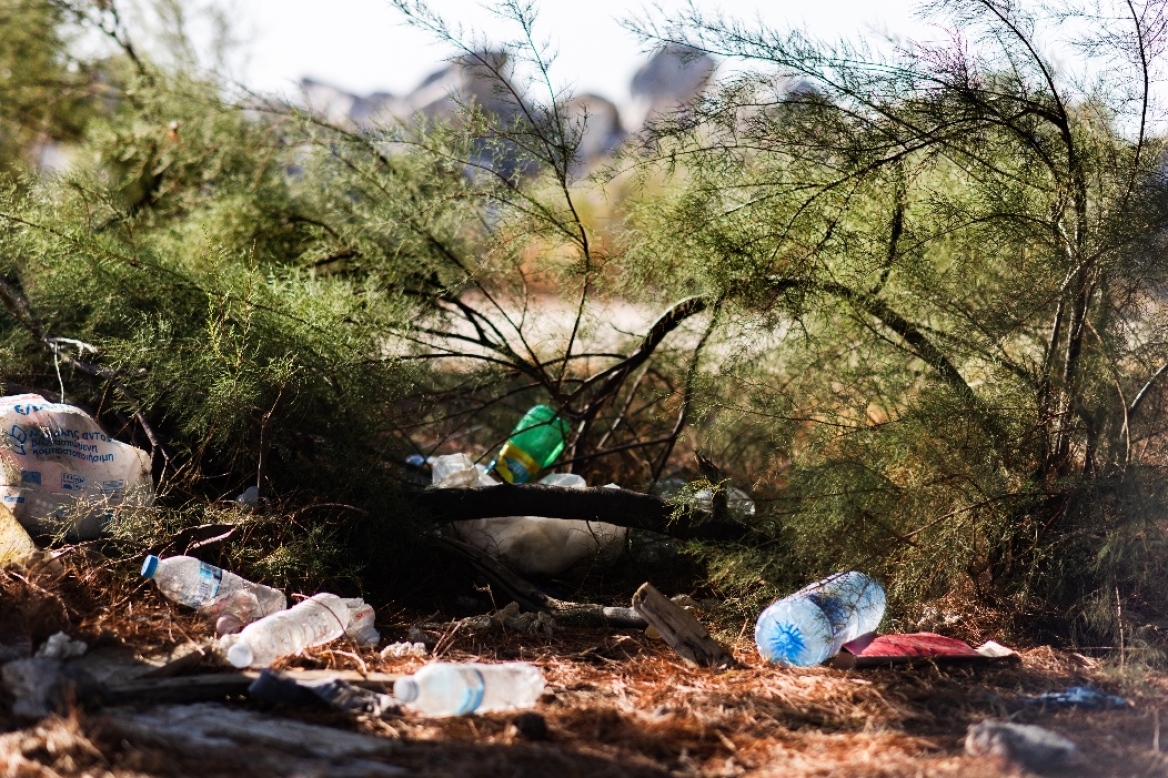 Plastic Free Greece: Μειώνοντας τα απορρίμματα κοντά στα κέντρα εφοδιαστικής αλυσίδας της Lidl Ελλάς