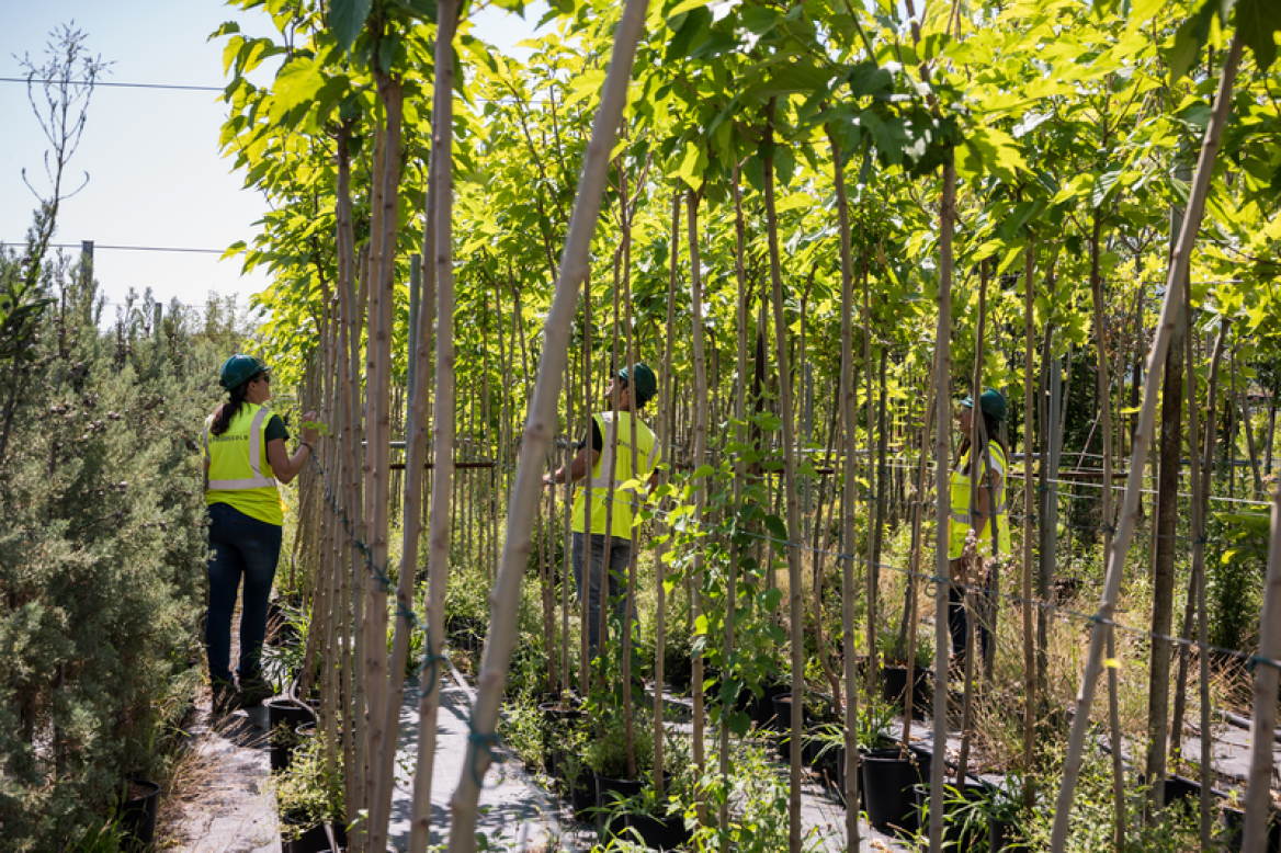 H σημασία της υπεύθυνης μεταλλευτικής δραστηριότητας