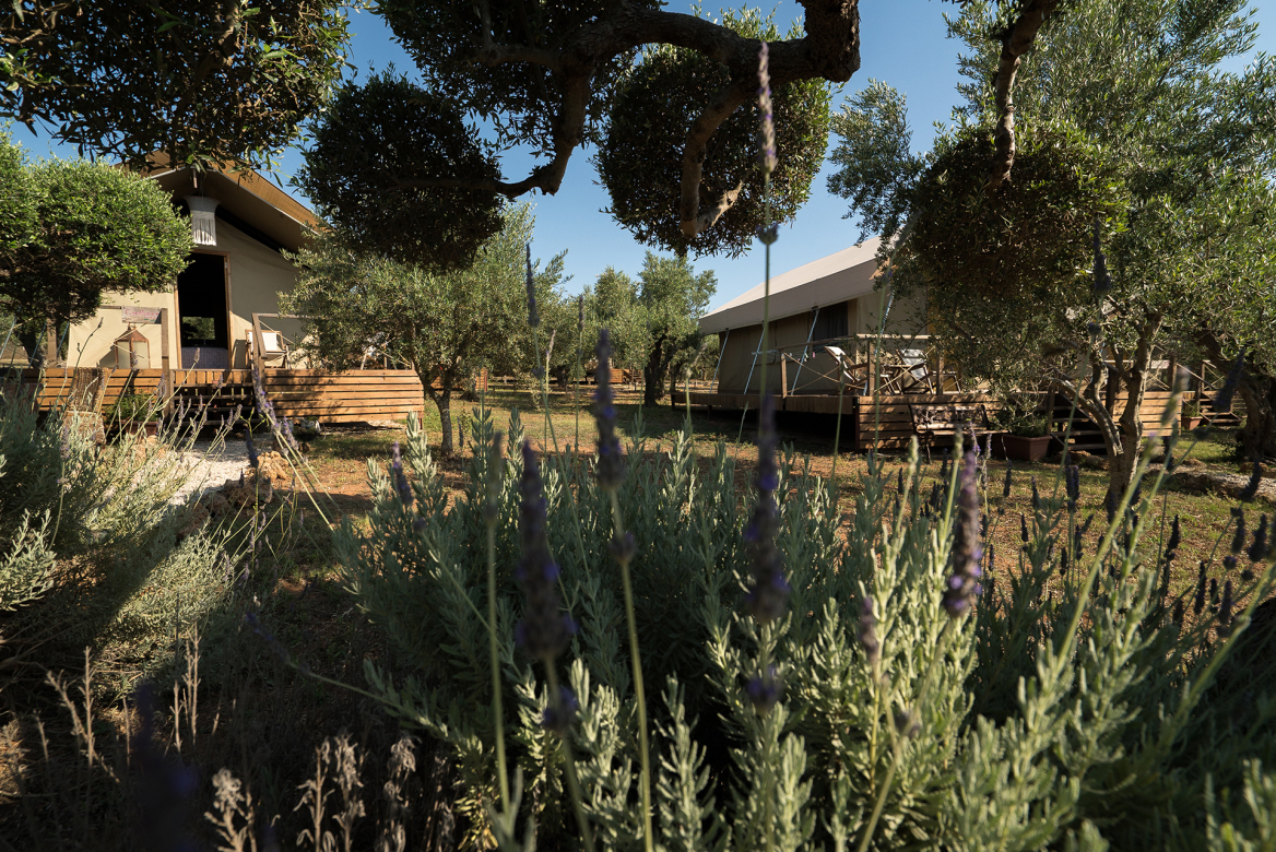 Zero Waste HoReCa Awards: Πώς και γιατί το Agrikies Country Retreat ξεχώρισε